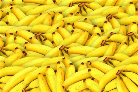 夢見很多香蕉